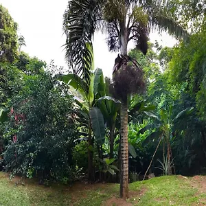  Apartment La Nature Seychellen